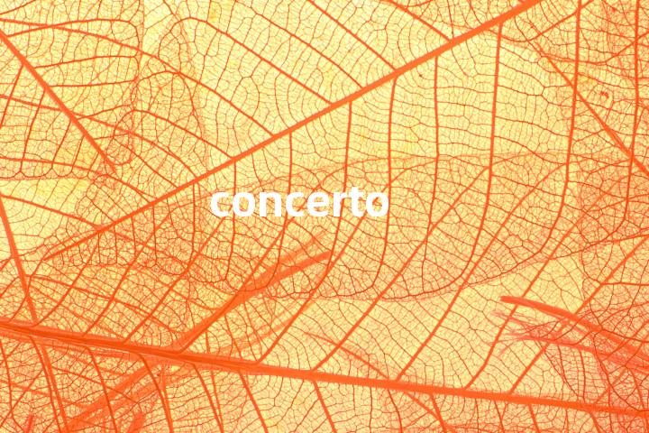 concerto