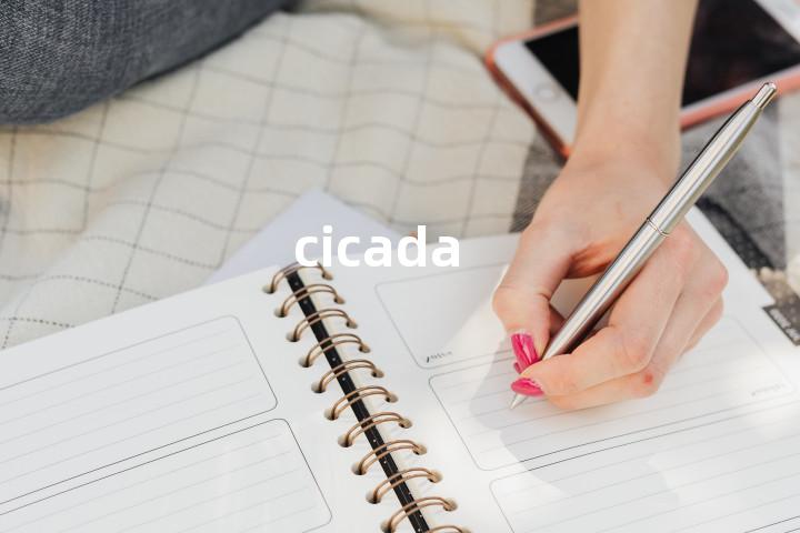 cicada
