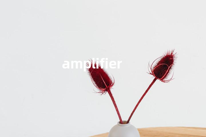amplifier