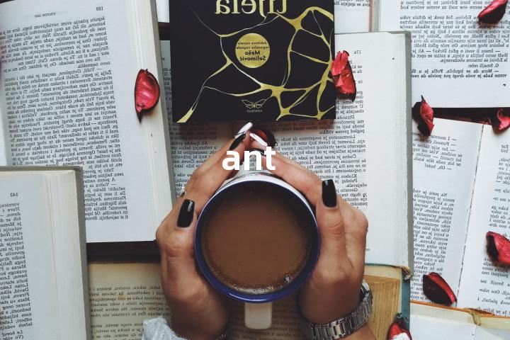 ant