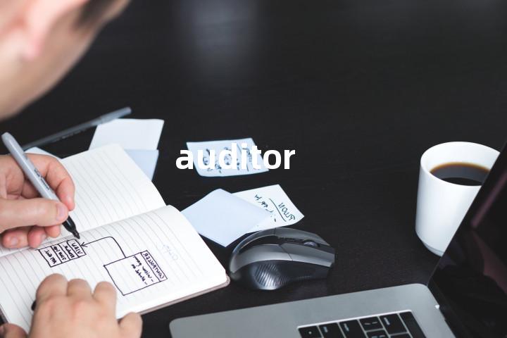 auditor
