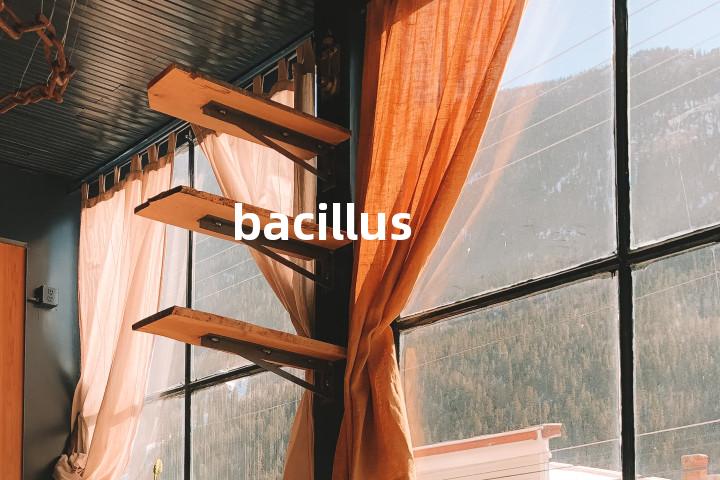 bacillus