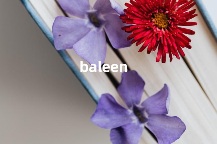 baleen