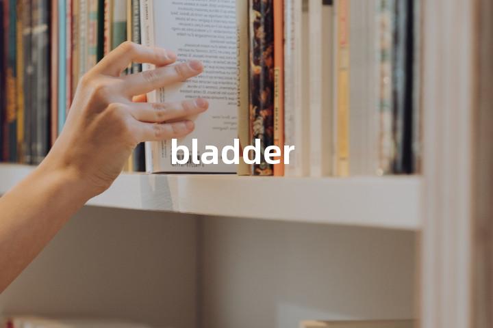 bladder