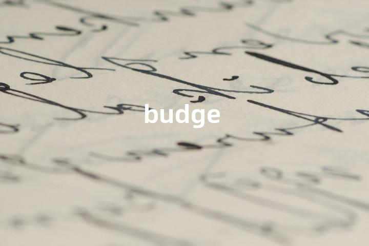 budge