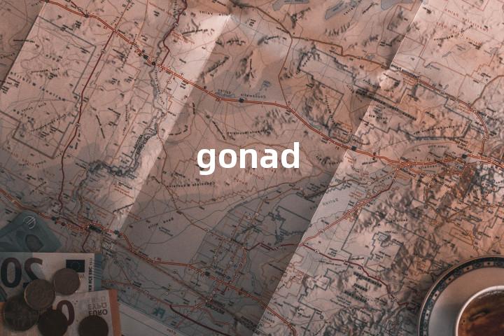gonad
