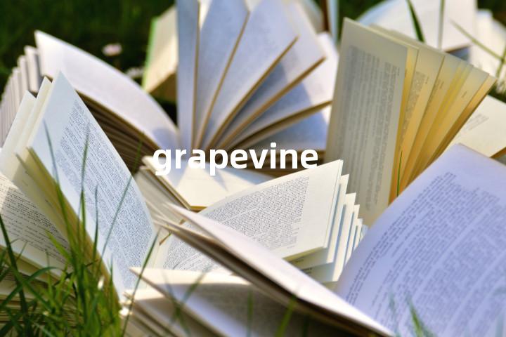 grapevine