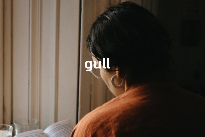 gull