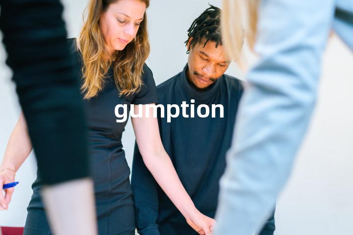 gumption