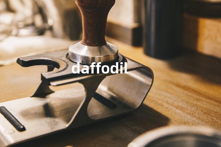 daffodil