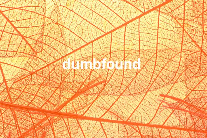 dumbfound