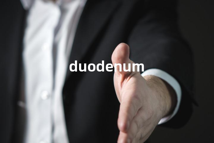 duodenum