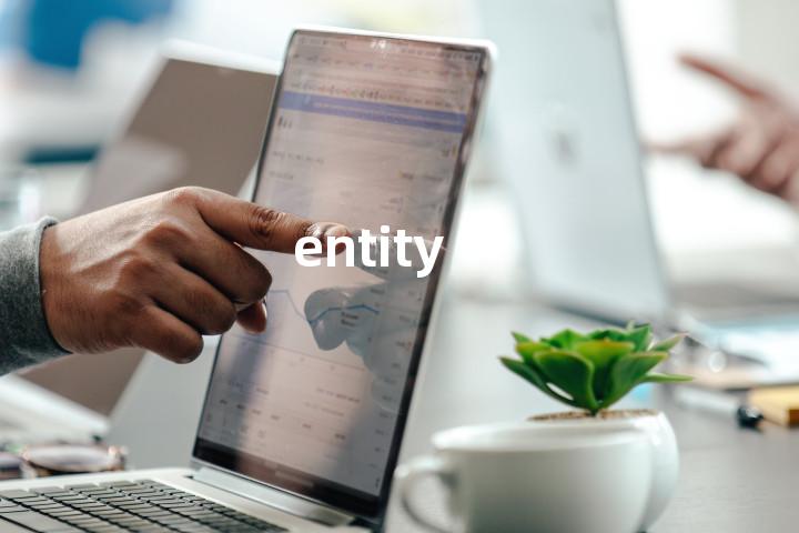 entity