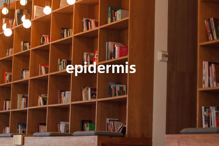 epidermis
