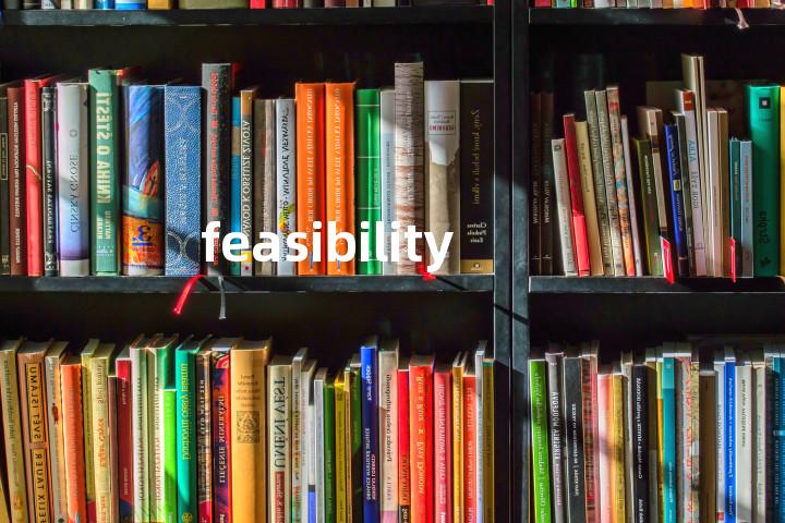 feasibility