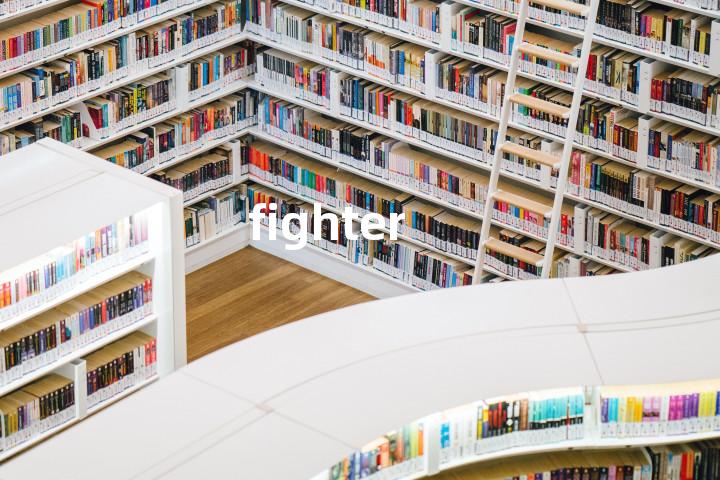 fighter