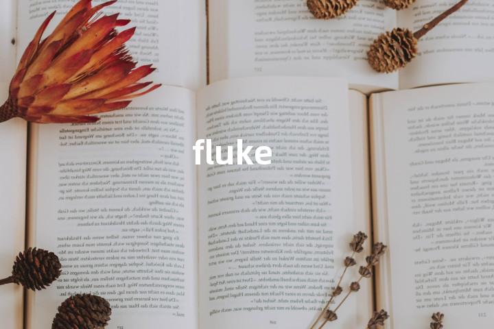 fluke
