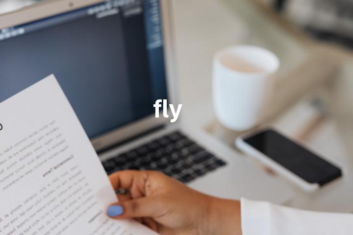fly