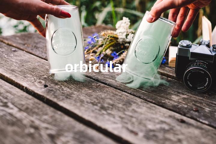 orbicular