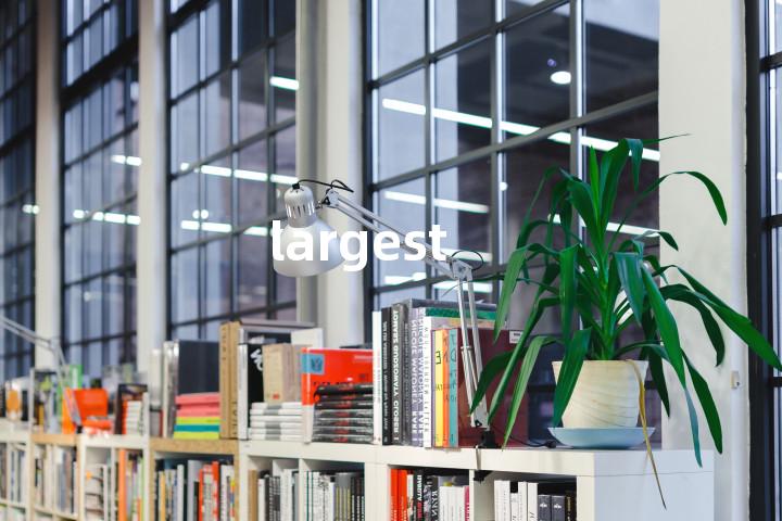 largest