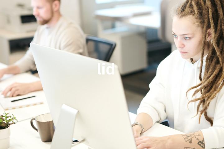 lid