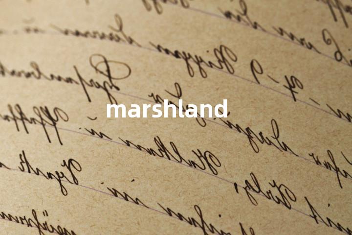 marshland