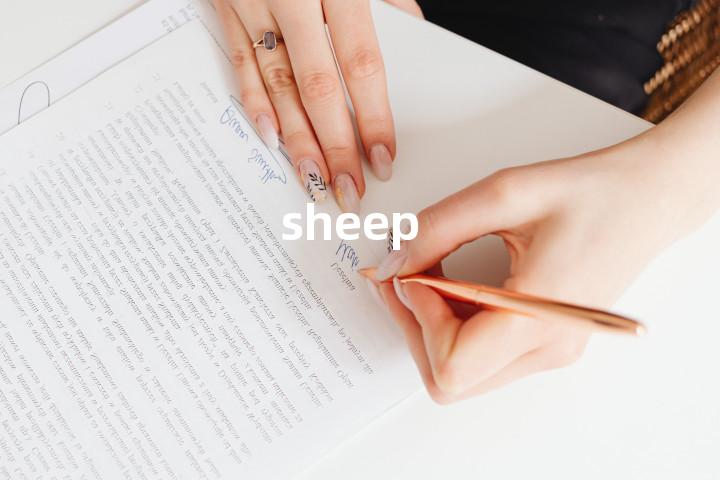 sheep