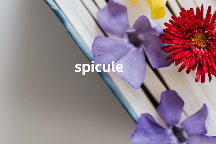 spicule