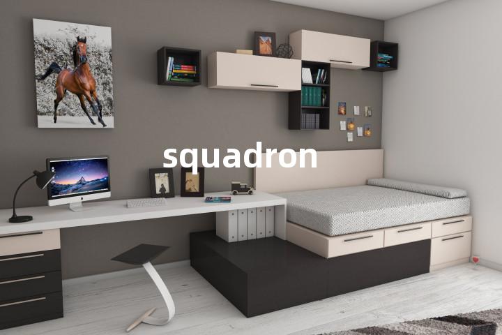 squadron