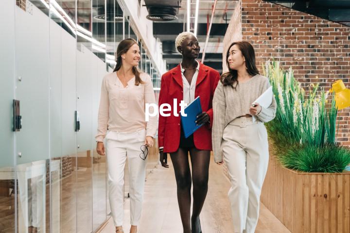 pelt