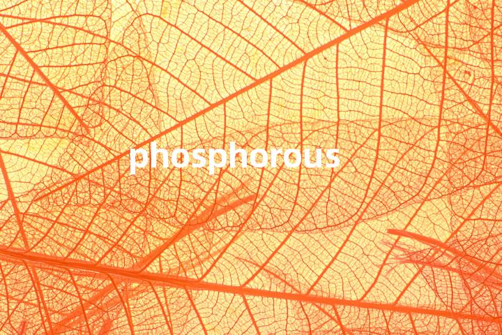 phosphorous