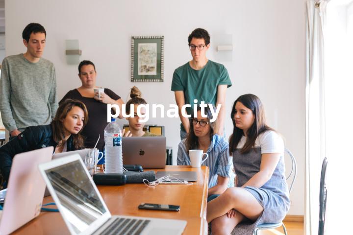 pugnacity