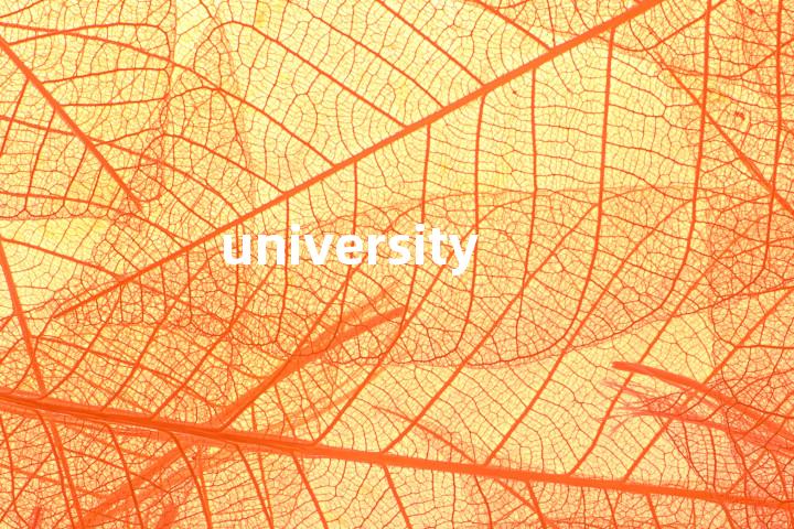 university