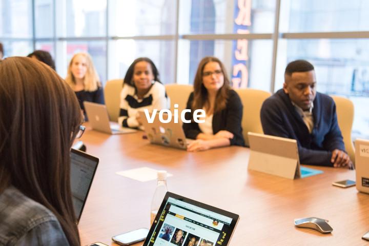 voice
