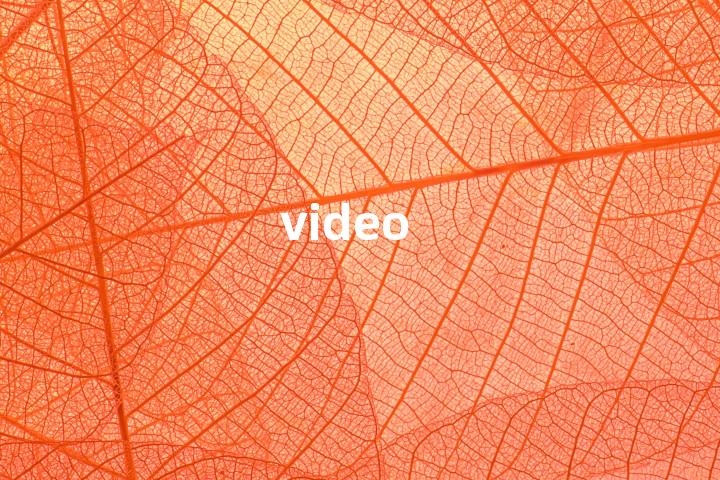 video