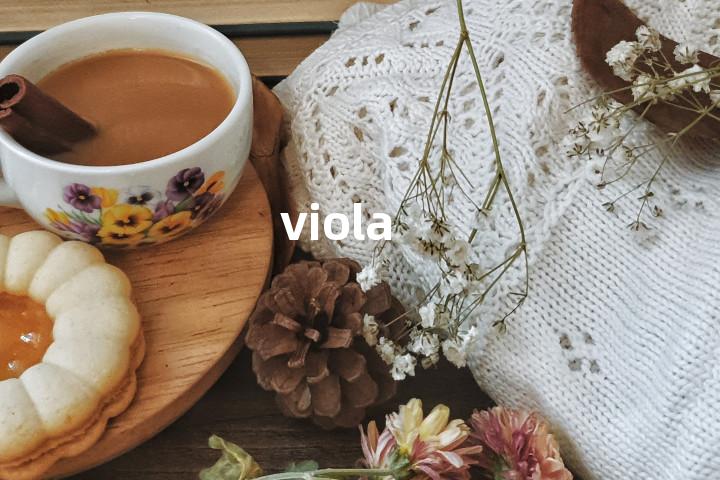 viola