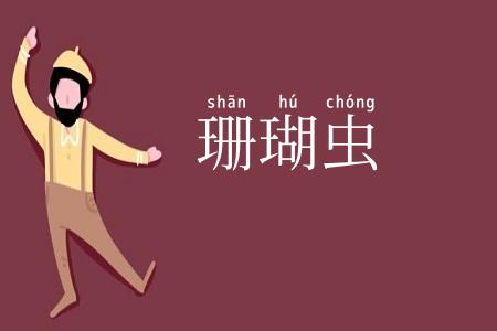 珊瑚虫