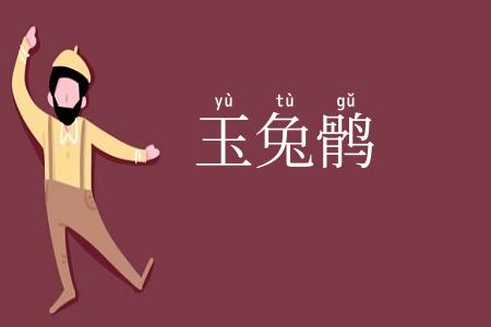 玉兔鹘