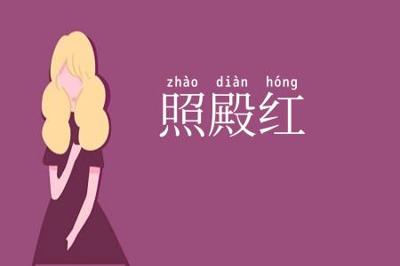 照殿红