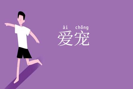 爱宠