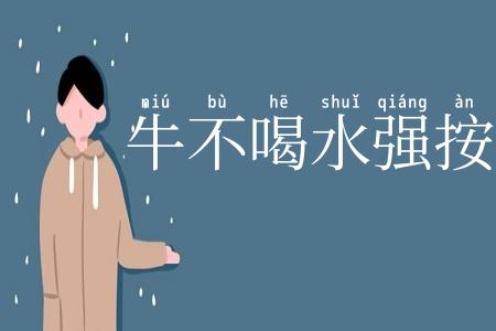 牛不喝水强按头