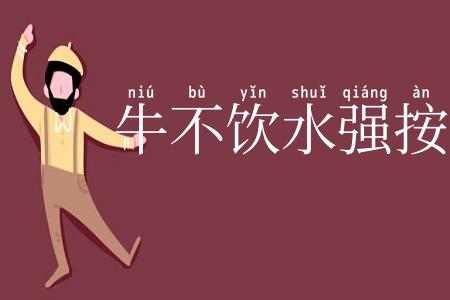 牛不饮水强按头