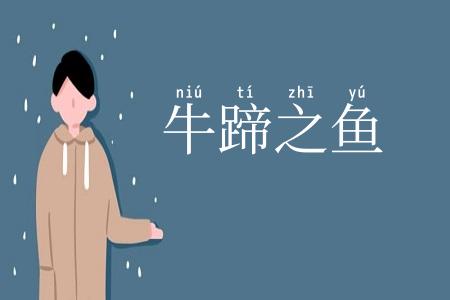 牛蹄之鱼