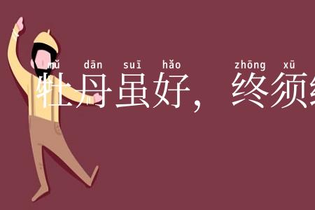 牡丹虽好，终须绿叶扶持