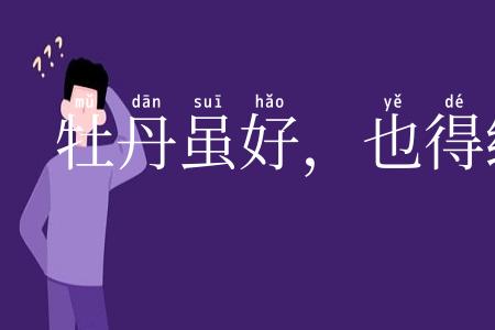 牡丹虽好,也得绿叶扶持