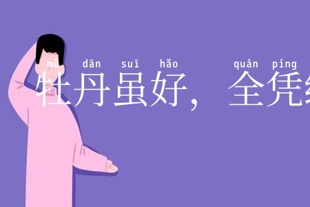 牡丹虽好，全凭绿叶扶持