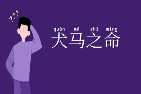 犬马之命