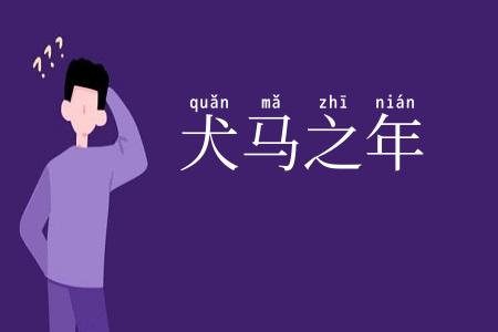 犬马之年