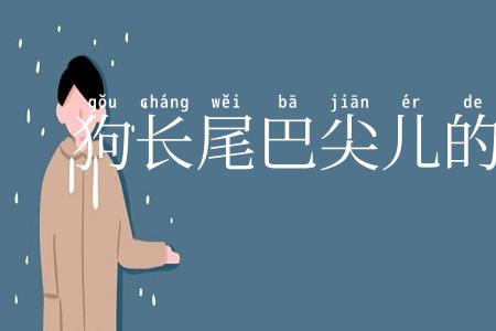 狗长尾巴尖儿的好日子