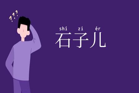 石子儿